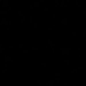 Meet your Posher, Harlee